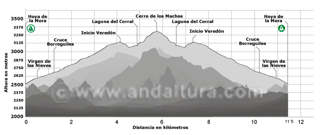 Perfil de la ruta de Alta Montaña desde la Hoya de la Mora al Cerro de los Machos y regreso