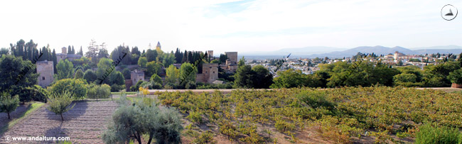 Torres de la Alhambra y el Albaycín desde el Generalife