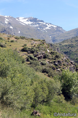 Cerro del Caballo, desde el carril al Cortijo de Ballesteros