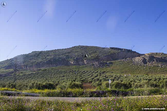 Vertiente norte de la Sierra de la Camorra, desde las proximidades de Alameda