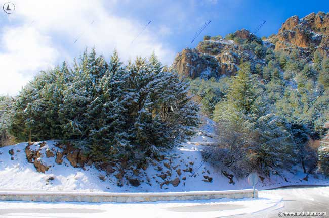 Carretera de acceso a la Estación de Esquí Sierra Nevada, A-395
