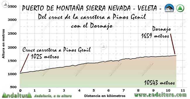 Perfil del Puerto de Montaña al Veleta, desde el cruce de Carreteras al Dornajo