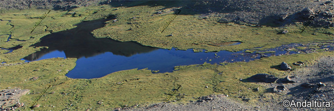Laguna Hondera