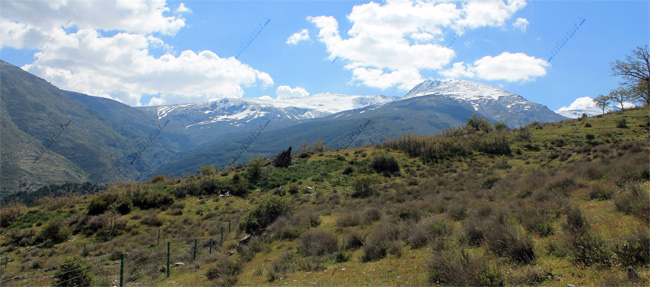 Cerro del Mojón Alto en la zona de Cabañas Viejas